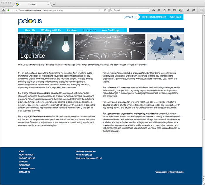 Pelorus Website 2